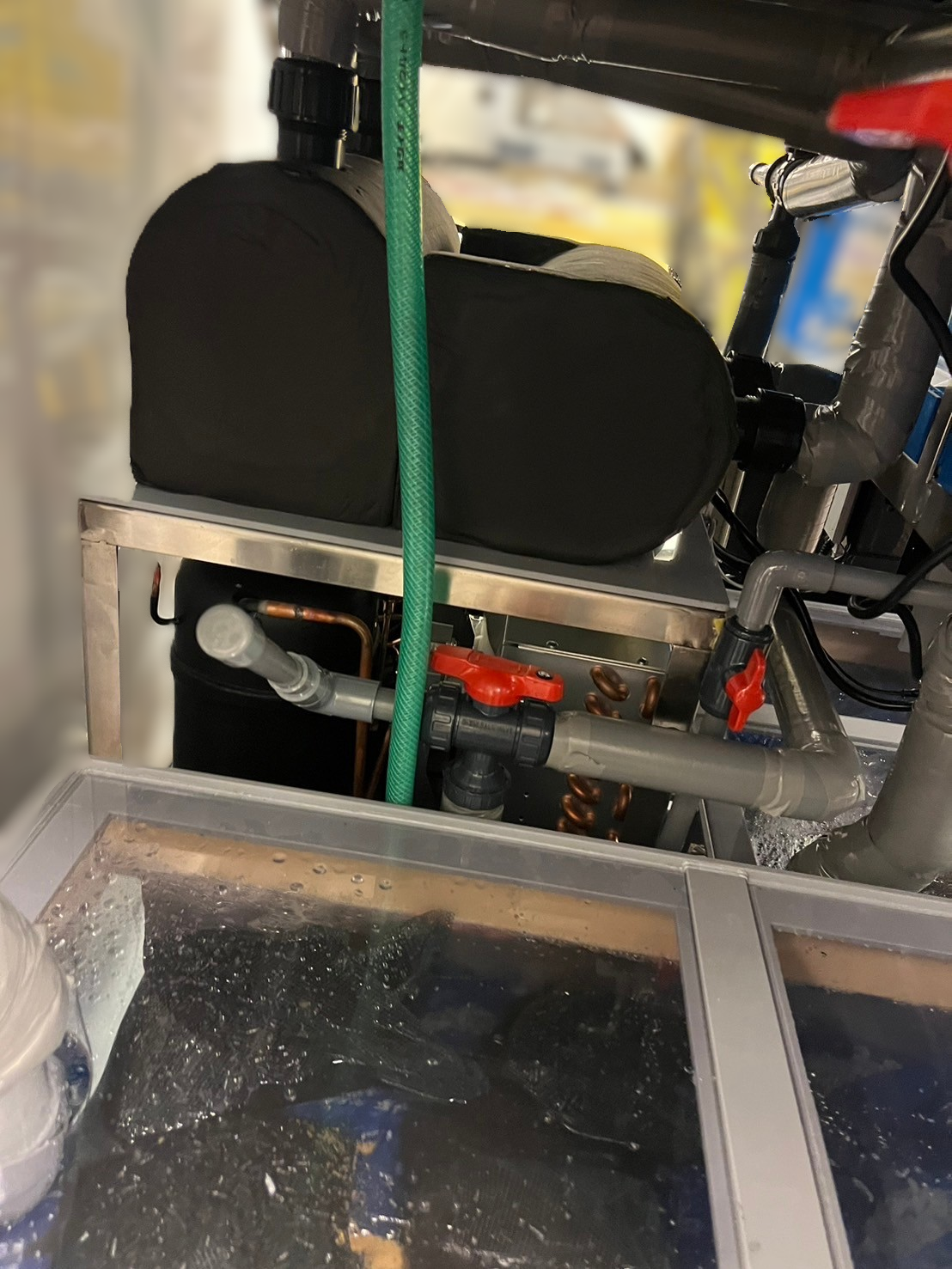 潮1200ZW 新規導入 活魚水槽 | 水槽設置・メンテナンス施工ブログ